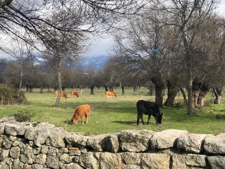 Guadarrama, Atico Nuevo Con Espectaculares Vistas Lägenhet Exteriör bild